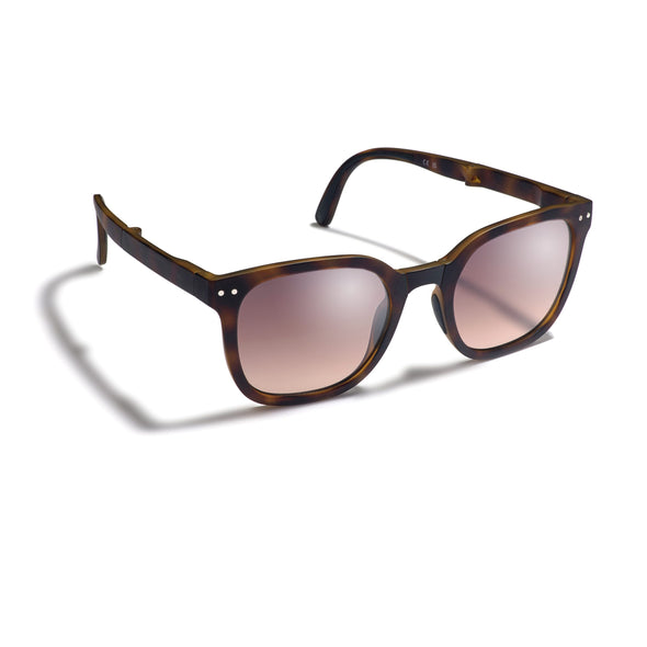 Gidgee Eyewear Canter Sunglasses - Tortoise