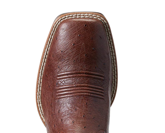 Ariat men's Night Life Ultra - Antique Tabac Smooth Quill Ostrich/Sorrell Brown